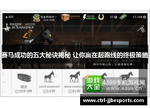 赛马成功的五大秘诀揭秘 让你赢在起跑线的终极策略
